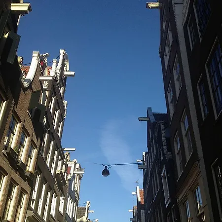 Bed and Breakfast The Blue Sheep