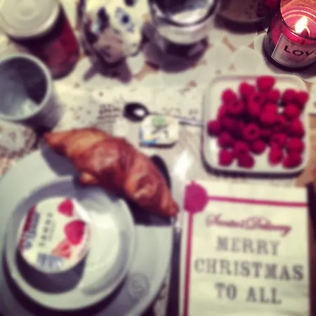 The Blue Sheep Bed and Breakfast Άμστερνταμ