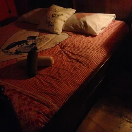 The Blue Sheep Bed and Breakfast Άμστερνταμ