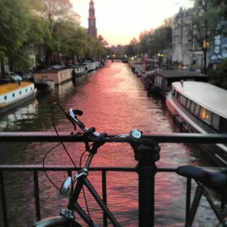 Oda ve Kahvaltı The Blue Sheep