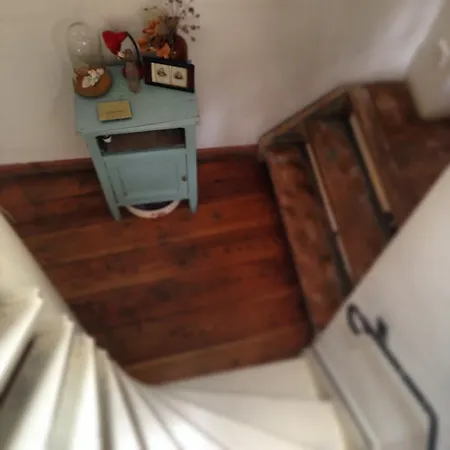 The Blue Sheep Amesterdão