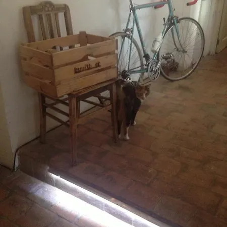 The Blue Sheep 3* Amsterdam