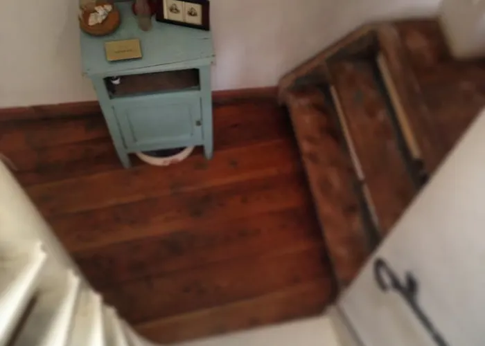 The Blue Sheep Amsterdam