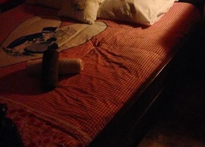 The Blue Sheep Bed & Breakfast Amsterdam