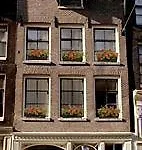 The Blue Sheep Amsterdam